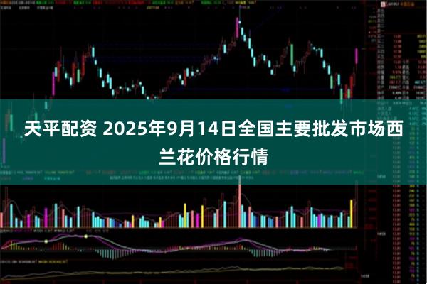 天平配资 2025年9月14日全国主要批发市场西兰花价格行情