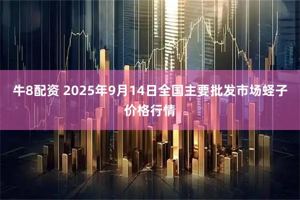 牛8配资 2025年9月14日全国主要批发市场蛏子价格行情