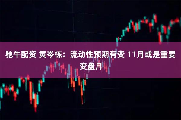 驰牛配资 黄岑栋：流动性预期有变 11月或是重要变盘月
